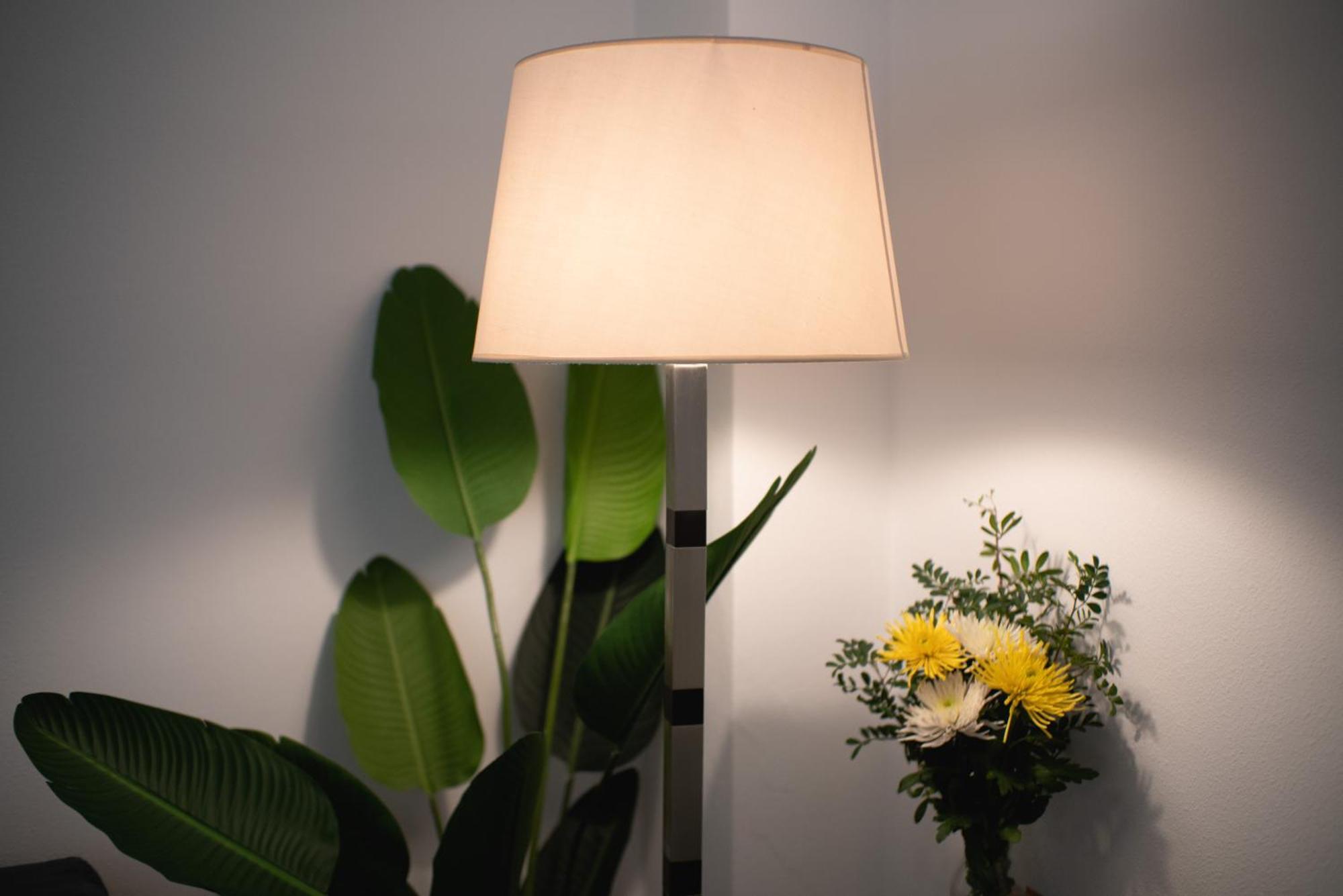 Apartamento Castilla 61 Sevilla Dış mekan fotoğraf